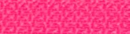 Fucsia251